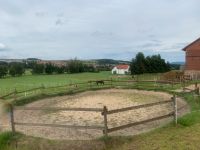 Offenstallplatz für Pony oder Kleinpferd in Welkers /Shetty 40,-€ Hessen - Flieden Vorschau