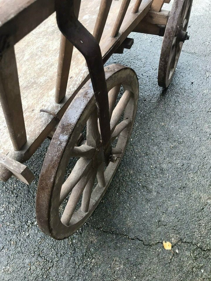 HANDWAGEN/BOLLERWAGEN/LEITERWAGEN/ SUPER GARTENDEKO SUPERZUSTADN in Speyer