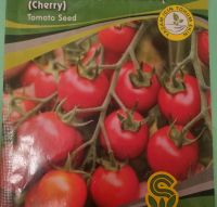 Saatgut - Cherry Tomaten rot Hamburg-Mitte - Hamburg Wilhelmsburg Vorschau
