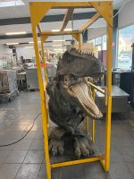 Jurassic-Park in Berlin, T-Rex-Baby mit Mechanik in 200x80x250cm Berlin - Reinickendorf Vorschau