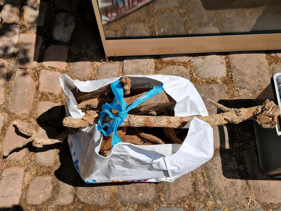 Terrarium aus Holz mit viel Zubehör in Obrigheim