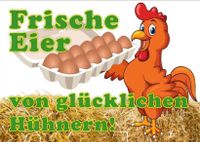 Täglich Frische Eier Brandenburg - Müncheberg Vorschau