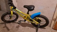 Kinderfahrrad Focus "Raven Rookie" 16 Zoll Sachsen - Schönwölkau-Hohenroda Vorschau