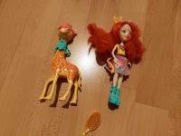 Enchantimals Puppe kleine Barbie Nordrhein-Westfalen - Swisttal Vorschau