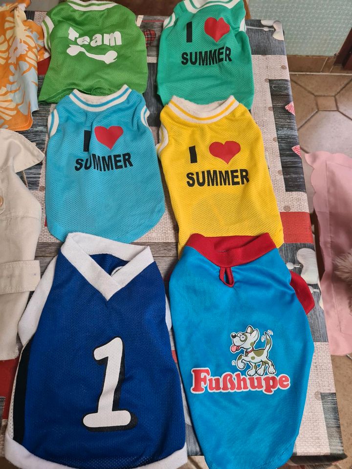 Hundemantel, Hundepullover, Hundeshirts in Helbedündorf