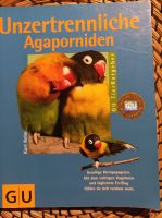 Unzertrennliche Agaporniden Gesellige Kleinpapageien Papagei Ratg Bayern - Rimpar Vorschau