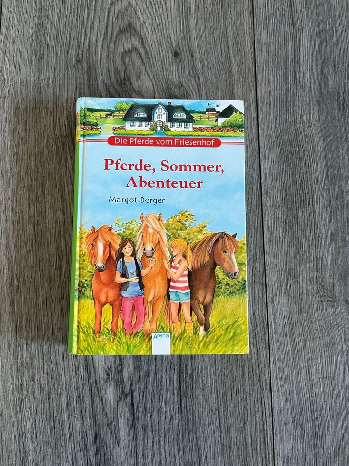 Buch - Pferde, Sommer, Abendteuer in Nordenholz