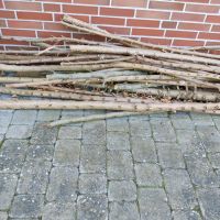 Holz / Äste Niedersachsen - Brake (Unterweser) Vorschau