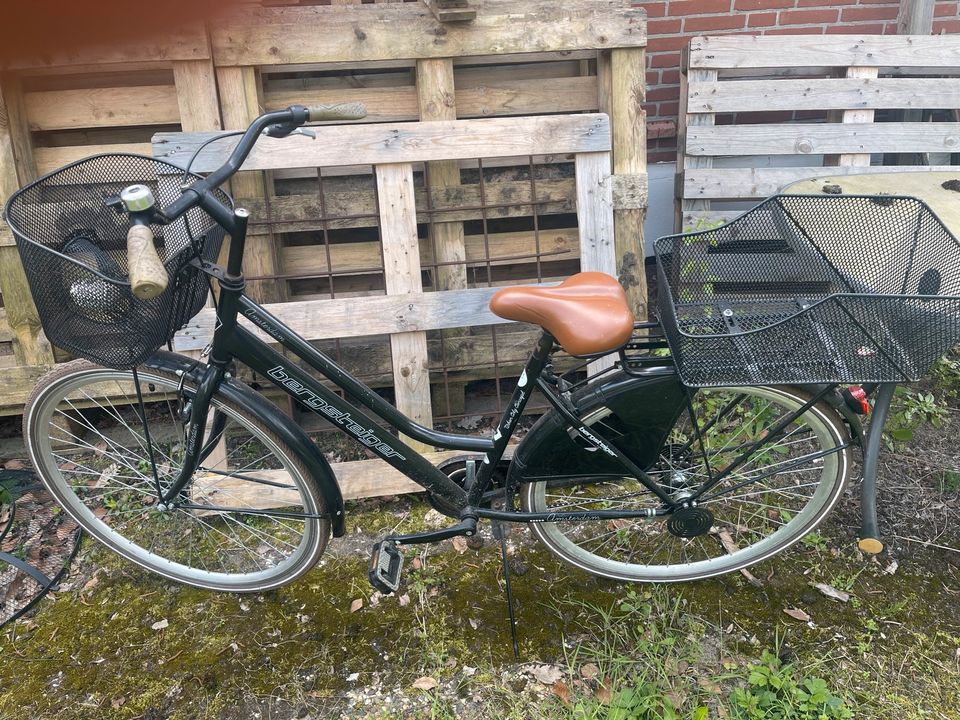 Damenfahrrad Bergsteiger Amsterdam in Bleckede