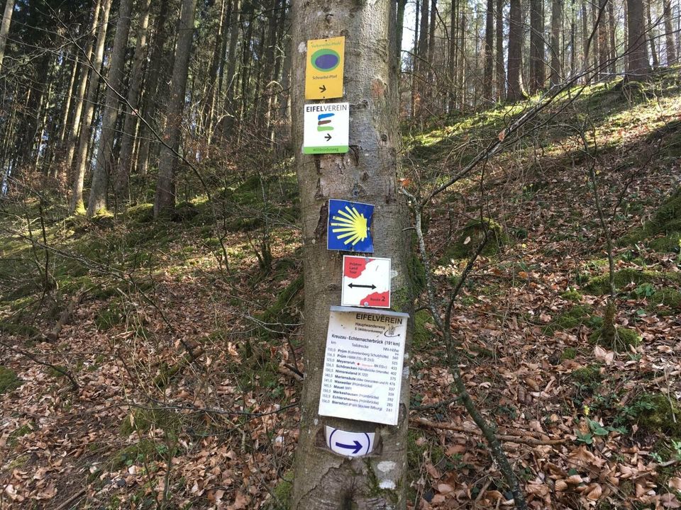 Auszeit in der Eifel: Urlaub für Körper, Geist und Seele in Waxweiler