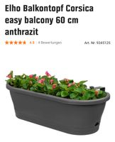 Elho Balkontopf Corsica easy Balkon 60 cm anthrazit Balkon West - Zeilsheim Vorschau