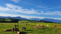 Bauernhof Aussiedlerhof Grundstück Haus Gesucht Nordrhein-Westfalen - Waldbröl Vorschau