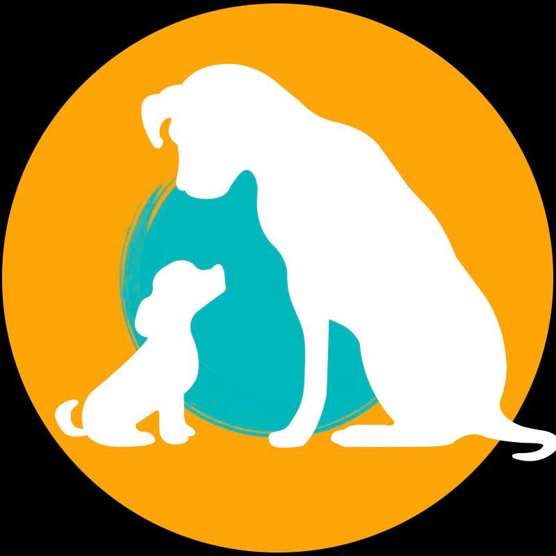 Hundephysiotherapie / Hundeosteopathie in Hügelsheim