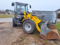 Radlader WL52 zu vermieten Baden-Württemberg - Löffingen Vorschau