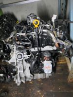 MOTOR VW T5 CAA CAAB CAAC CAAD CCHB 2.0tdi Nordrhein-Westfalen - Schloß Holte-Stukenbrock Vorschau