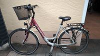 Fahrrad Staiger Damen / Herren Tiefeinstieg !!kein E-Bike!! Rheinland-Pfalz - Dreis Vorschau