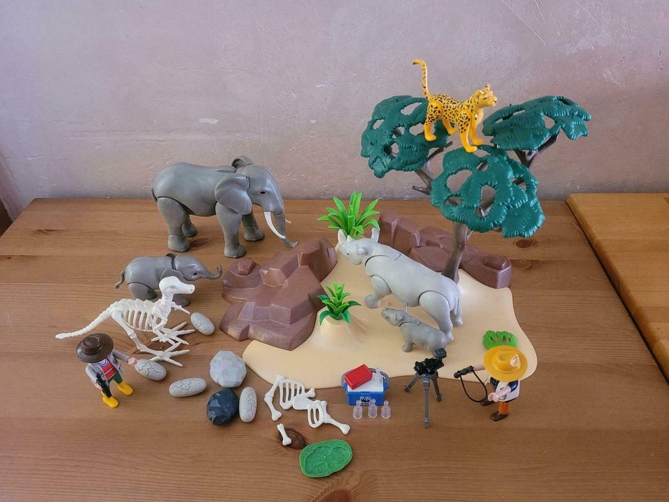 Playmobil 5275 Safari - vollständig - mit Dinosaurier Skelett in Weisweil