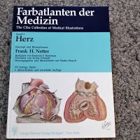 Netter Farbatlanten der Medizin / Thieme / Band 1 / Herz Sachsen - Aue Vorschau