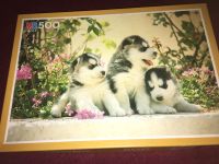 500 Teile Puzzle mit Hunde Welpen Huskies Niedersachsen - Burgwedel Vorschau