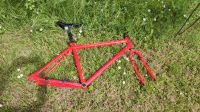 Alu Rahmen Gabel Set 26" 47cm Kettler Rot Mountainbike Rheinland-Pfalz - Mainz Vorschau