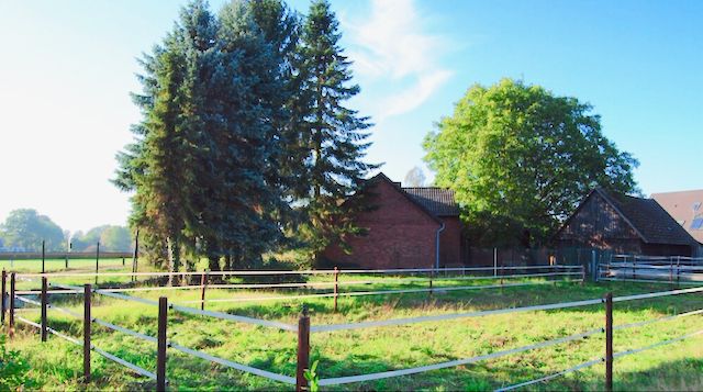 DRINGEND GESUCHT: Resthof, Bauernhof, Tierhaltungsobjekt in Seevetal