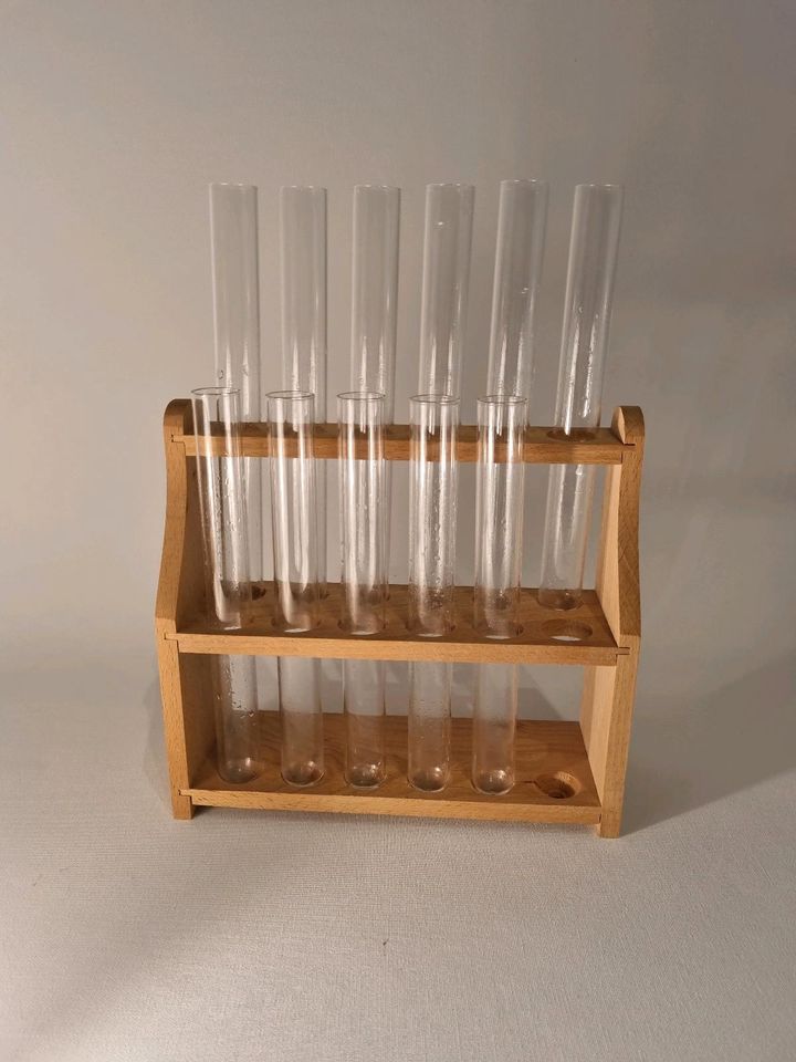 Reagenzglasständer Holz mit 11 Gläser in Mainz