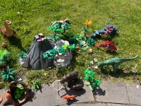 Playmobil Konvolut Dinosaurier / Urzeit Nordrhein-Westfalen - Haltern am See Vorschau