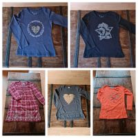 5x Oberteil Gr. 116 H&M, alive, Pocopiano langarm longsleeve Nordrhein-Westfalen - Langenfeld Vorschau