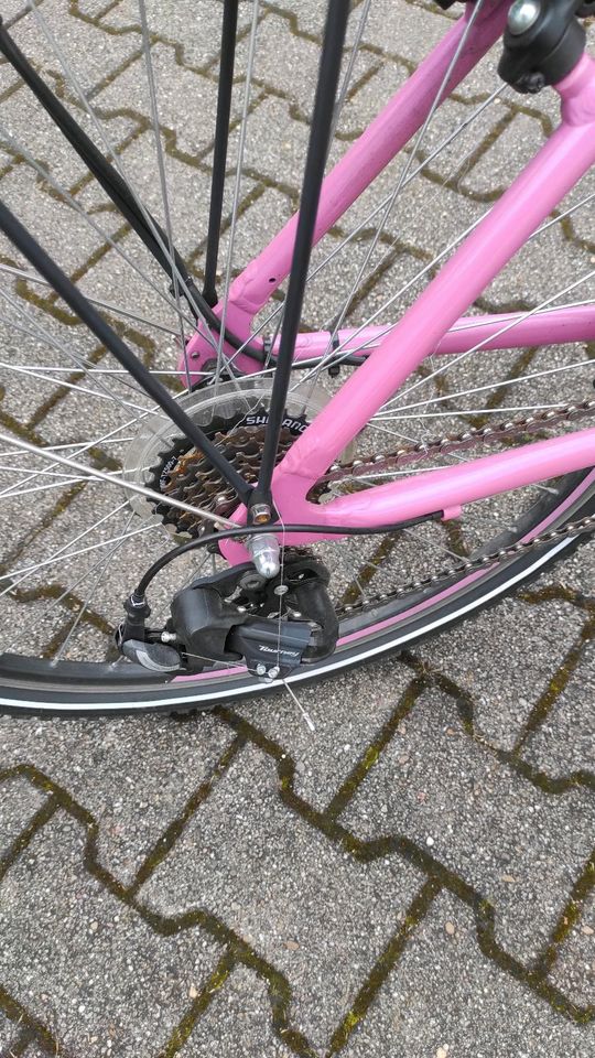 Boomer Mädchen Fahrrad 26 Zoll in Böblingen