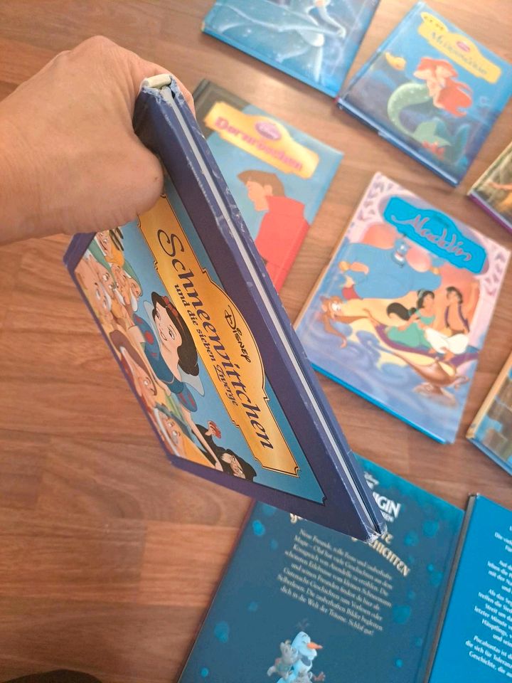 Disney Prinzessinnen Bücher Arielle Cinderella Schneewittchen in Wilhelmshaven