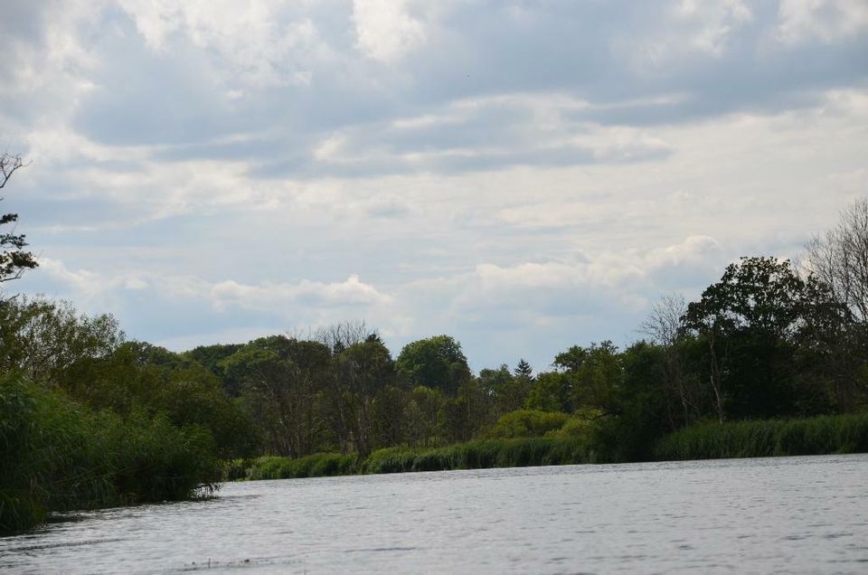 Urlaub auf der Peene / Boot mieten / Lütt Hütt / Peenebike Loitz in Loitz (Bei Demmin)