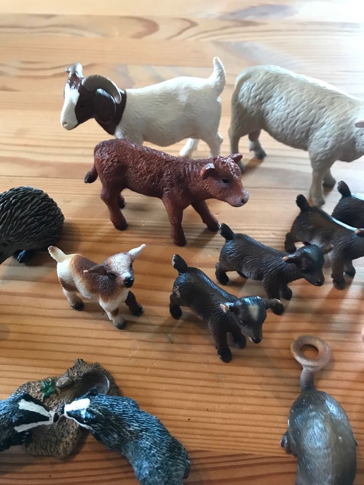 Schleich Schaf, Ziegen, Kälbchen  Hase, Igel u.Waschbären in Nümbrecht