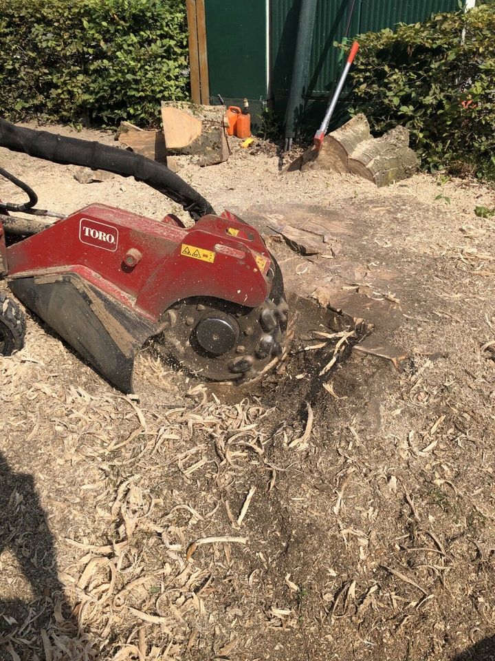 Biete Wurzelfräsen, Stubbenfräsen. Baumstumpf entfernen in Espelkamp