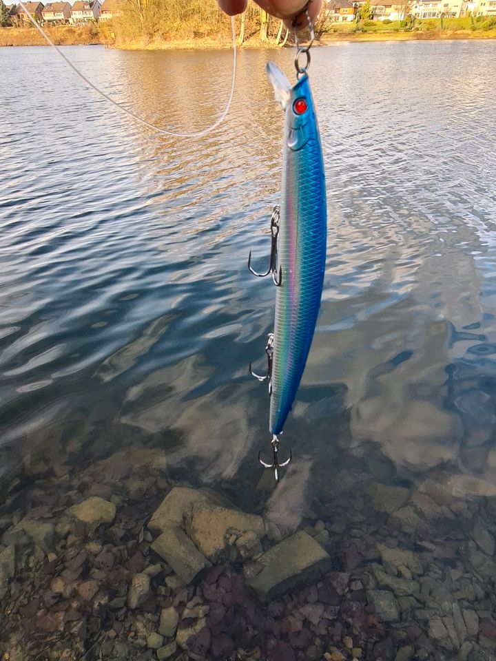 Zander Wobbler, Forellen Spoons, Crankbaits, Barsch Hecht Zander in Köln