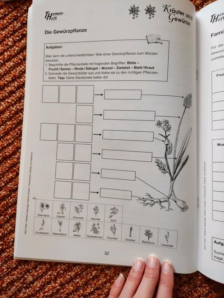 Kräuter und Gewürze, BVK, Sachunterricht Grundschule in Marl