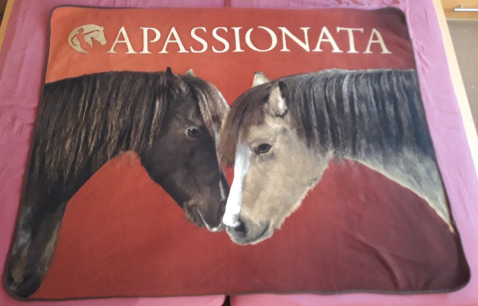 Apassionata Kuschel Decke / Kissen Set in Pattensen