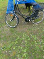 Fahrrad mit Korb Osterholz - Tenever Vorschau