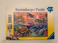 Puzzle Ravensburger 100 Teile Brandenburg - Schildow Vorschau