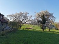 Hilfe im Garten Nordrhein-Westfalen - Hiddenhausen Vorschau