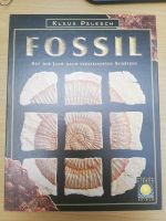 Fossil Goldsieber Spiele Nordrhein-Westfalen - Hürth Vorschau