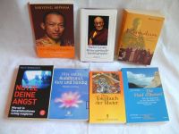 Bücher Buddhismus Tibet Dalai Lama Spirituelles Biographie Nordrhein-Westfalen - Lohmar Vorschau