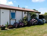 Ferienhaus in Sint Maartenszee Nordholland Nordrhein-Westfalen - Wenden Vorschau