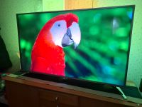 Fernseher Philips 4K Android TV Hessen - Hanau Vorschau