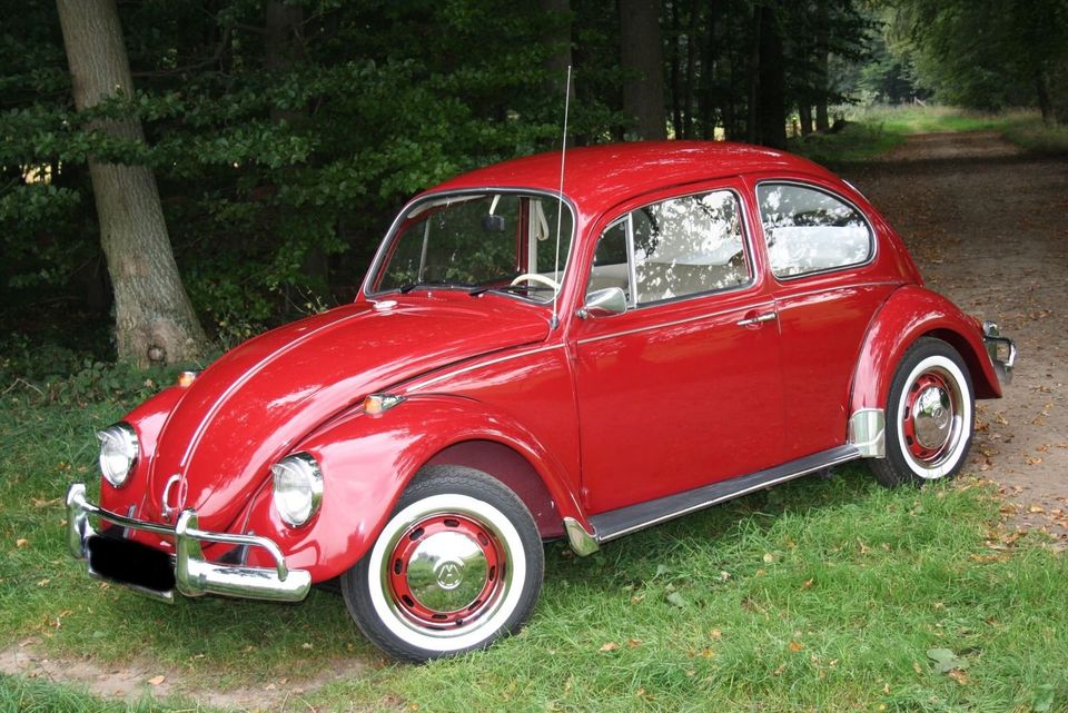 VW Käfer 1300 Baujahr 1968 Komplett restauriert in Neuenkirchen-Vörden