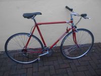 Fahrrad 28 Rennrad Speedbike Motorbecane RH 58 top Vintage Hamburg-Mitte - Hamburg Wilhelmsburg Vorschau