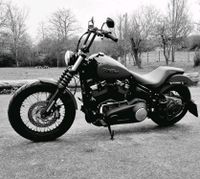 Harley street bob fxbb Badlander SATTEL Rheinland-Pfalz - Wörrstadt Vorschau