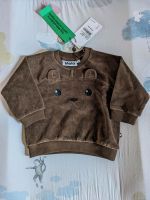 Molo Derry Bär Teddy Pullover Oberteil Baby Neu 68 braun Hessen - Erlensee Vorschau