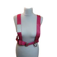 Trem Lifebelt Erwachsene Sicherheitsgurt Harness ab 50 kg Brandenburg - Havelsee Vorschau