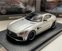 Almost-Real Silver 2017 Mercedes Benz AMG GT-R 1:43 Modellauto Hamburg-Mitte - Hamburg Altstadt Vorschau