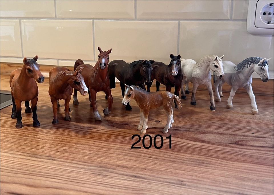 Schleichpferde 2000 - 2004 in Haverlah